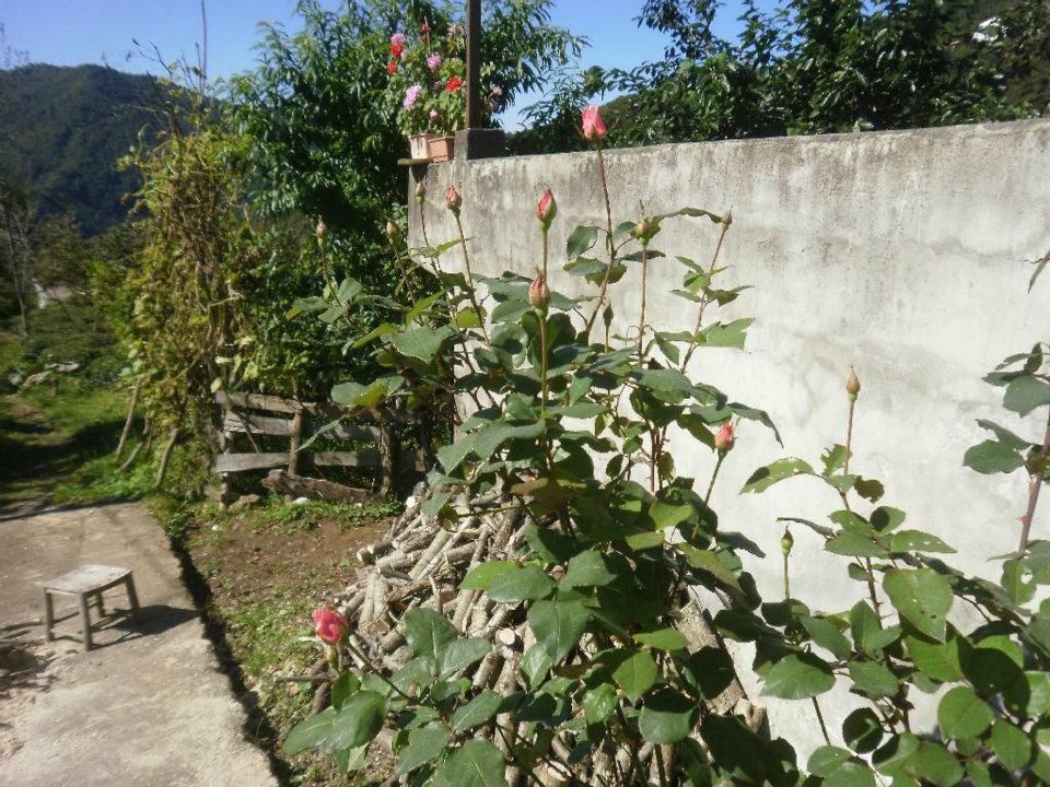 Sürmene Dirlik Köyü Resimleri 58