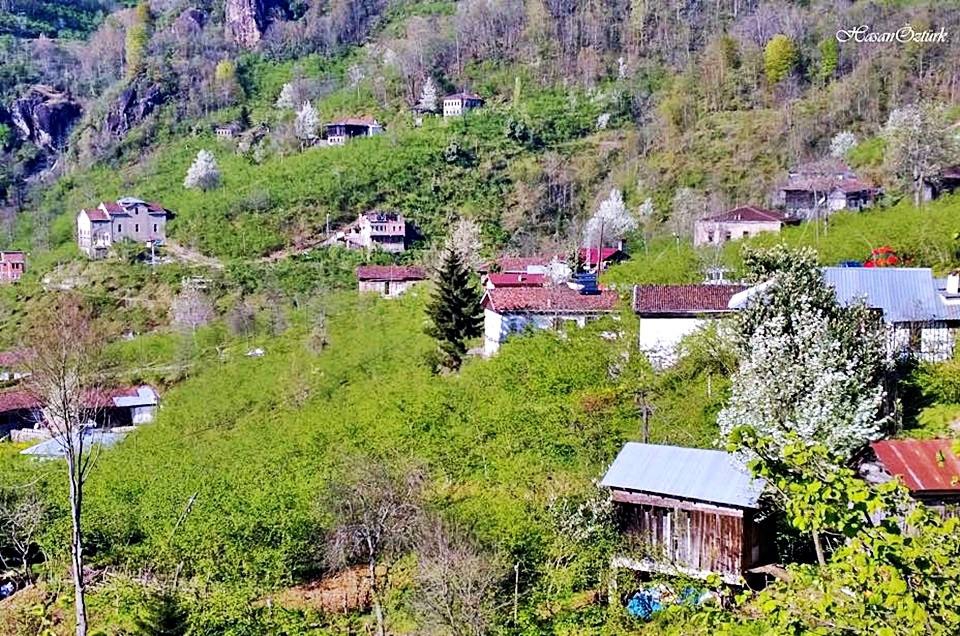 Sürmene Dirlik Köyü Resimleri 59