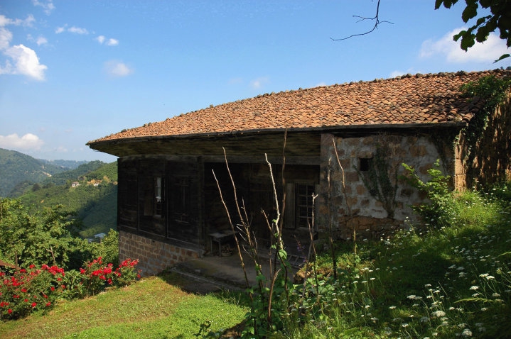 Sürmene Dirlik Köyü Resimleri 66