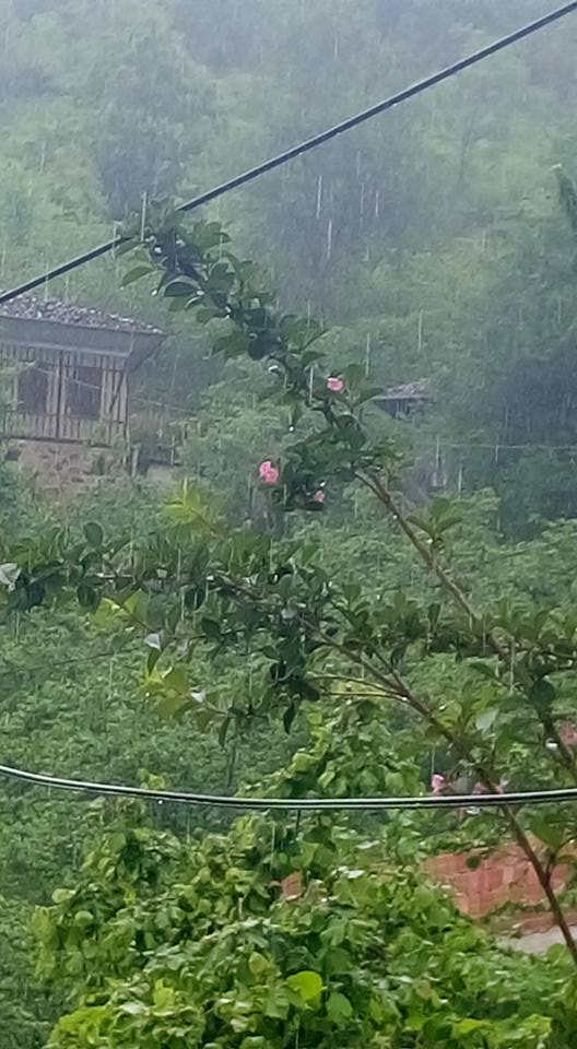 Sürmene Dirlik Köyü Resimleri 69