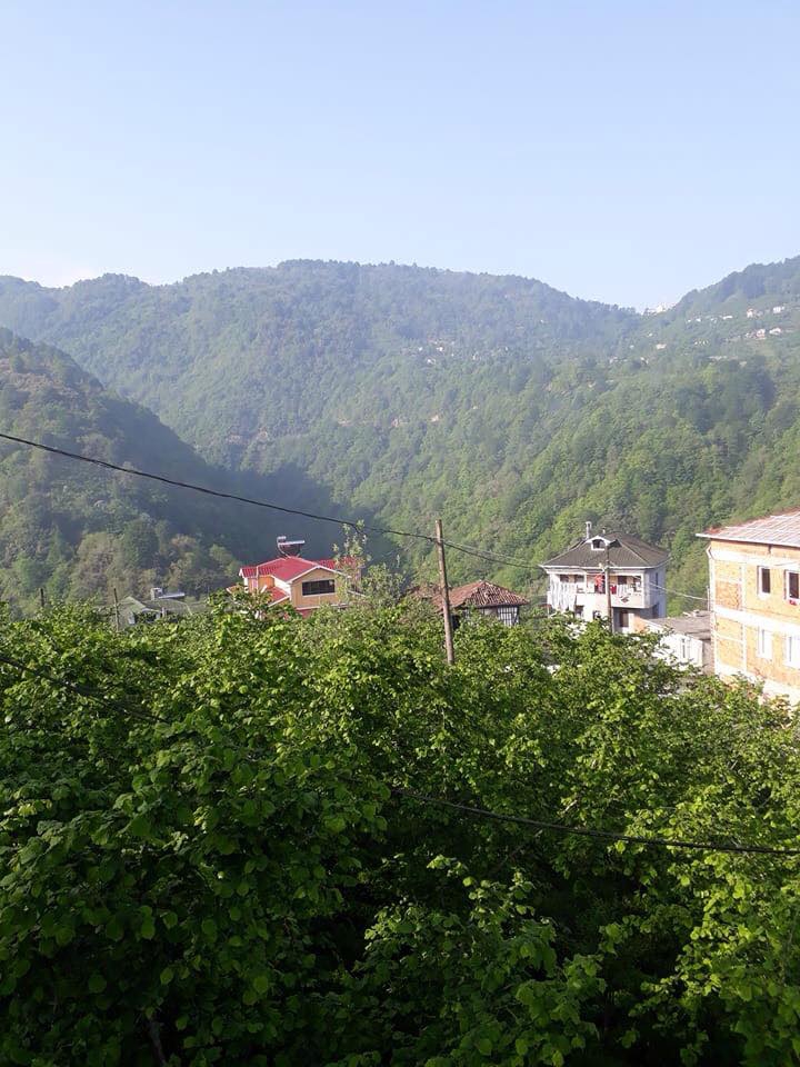 Sürmene Dirlik Köyü Resimleri 75