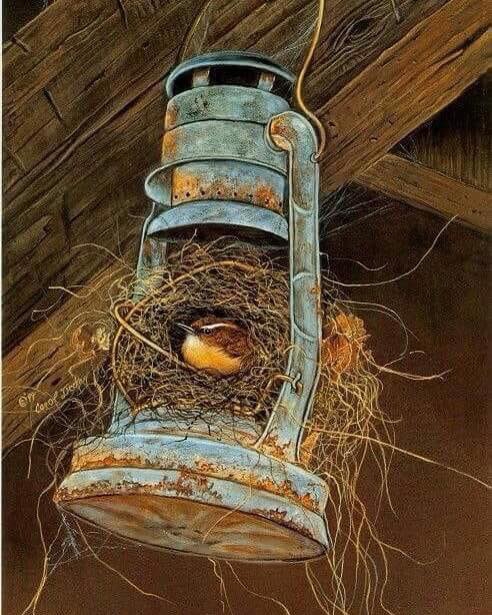 Sürmene Dirlik Köyü Resimleri 76