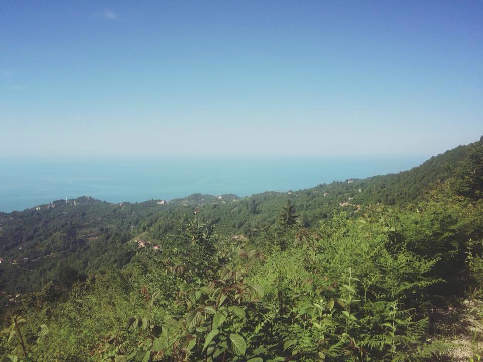 Sürmene Dirlik Köyü Resimleri 78