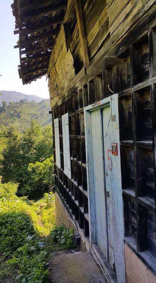 Sürmene Dirlik Köyü Resimleri 79