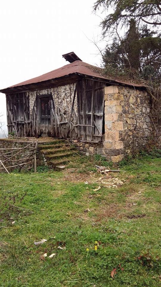 Sürmene Dirlik Köyü Resimleri 80