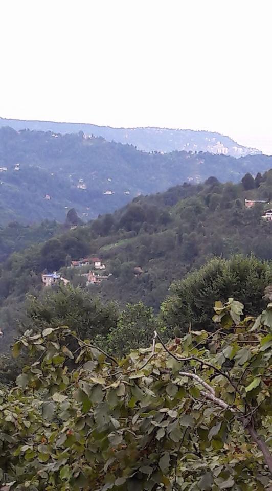 Sürmene Dirlik Köyü Resimleri 81