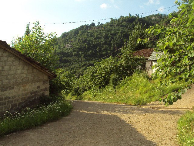 Sürmene Dirlik Köyü Resimleri 85