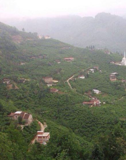 Sürmene Dirlik Köyü Resimleri 9