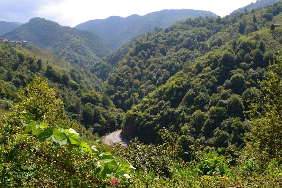 Sürmene Dirlik Köyü Resimleri 92