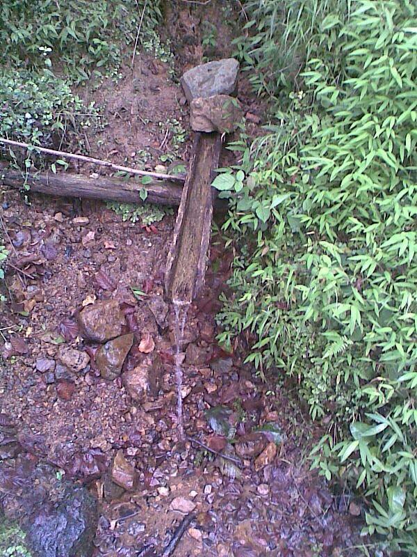 Sürmene Dirlik Köyü Resimleri 96