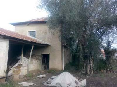 Adana Ceyhan Günlüce Köyü Resimleri 1