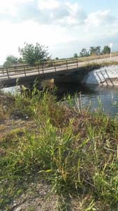 Adana Ceyhan Günlüce Köyü Resimleri 3