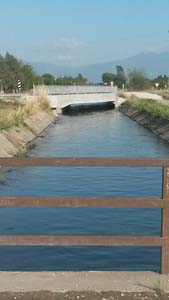 Adana Ceyhan Günlüce Köyü Resimleri 6