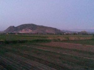 Adana Ceyhan Günlüce Köyü Resimleri