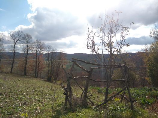 Asarcık Emirmusa Köyü Resimleri 2