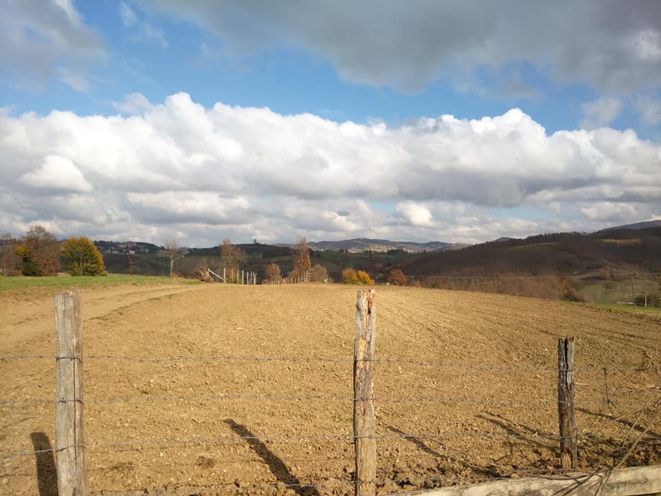 Asarcık Emirmusa Köyü Resimleri 3