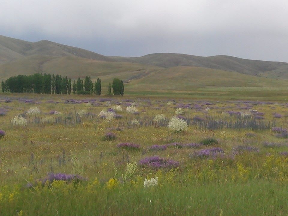 Demirözü Çağıllı Köyü Resimleri 1