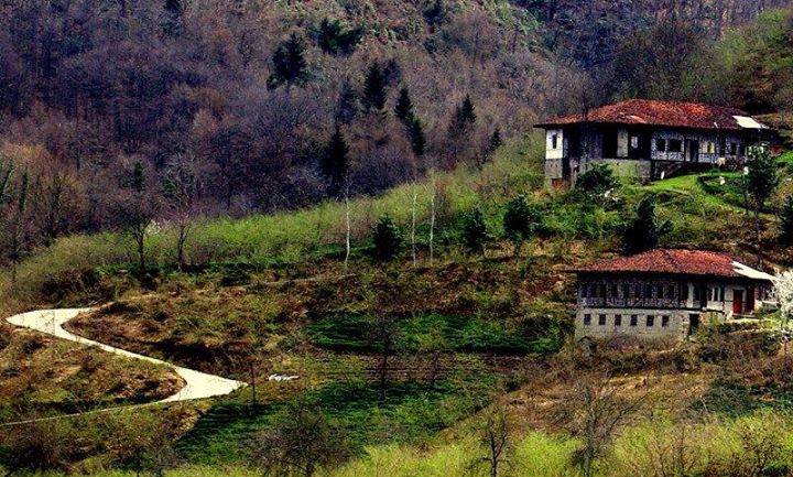 Sürmene Gültepe Köyü Resimleri 20