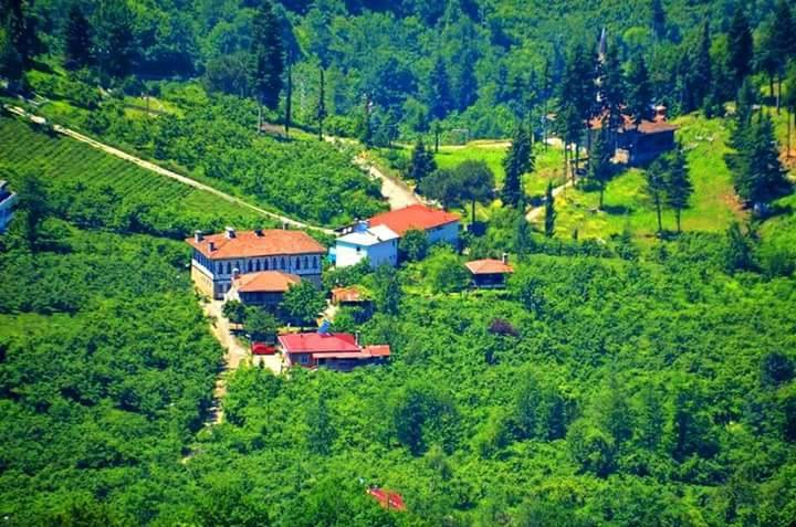 Sürmene Gültepe Köyü Resimleri 21
