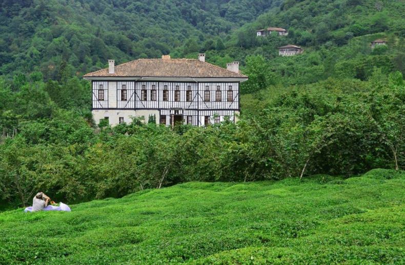 Sürmene Gültepe Köyü Resimleri 22