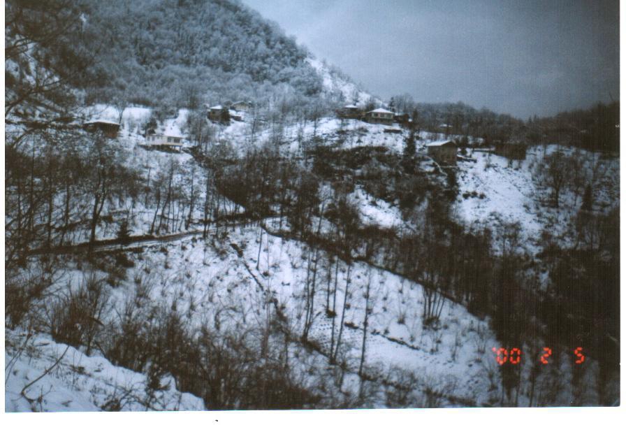 Sürmene Gültepe Köyü Resimleri 24