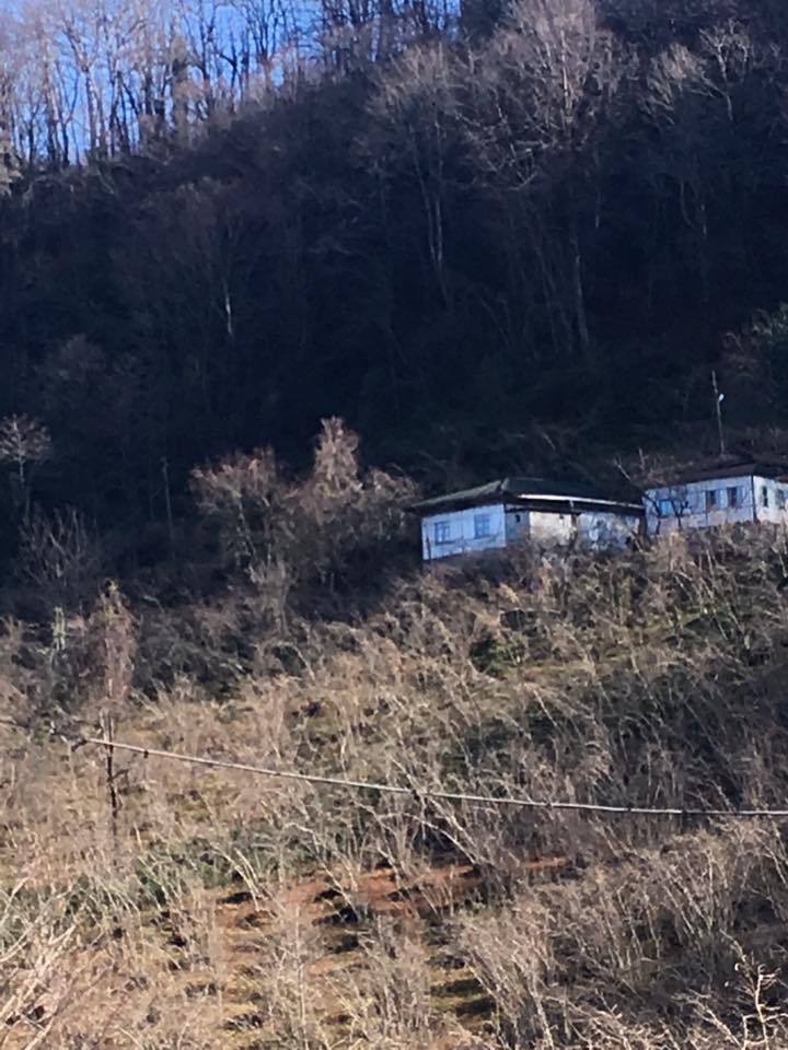 Sürmene Gültepe Köyü Resimleri 27