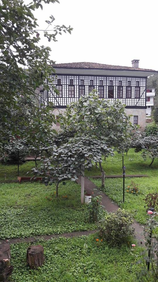 Sürmene Gültepe Köyü Resimleri 28