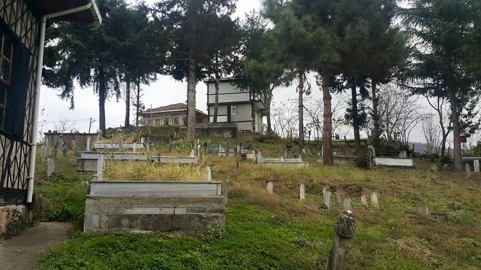 Sürmene Gültepe Köyü Resimleri 29