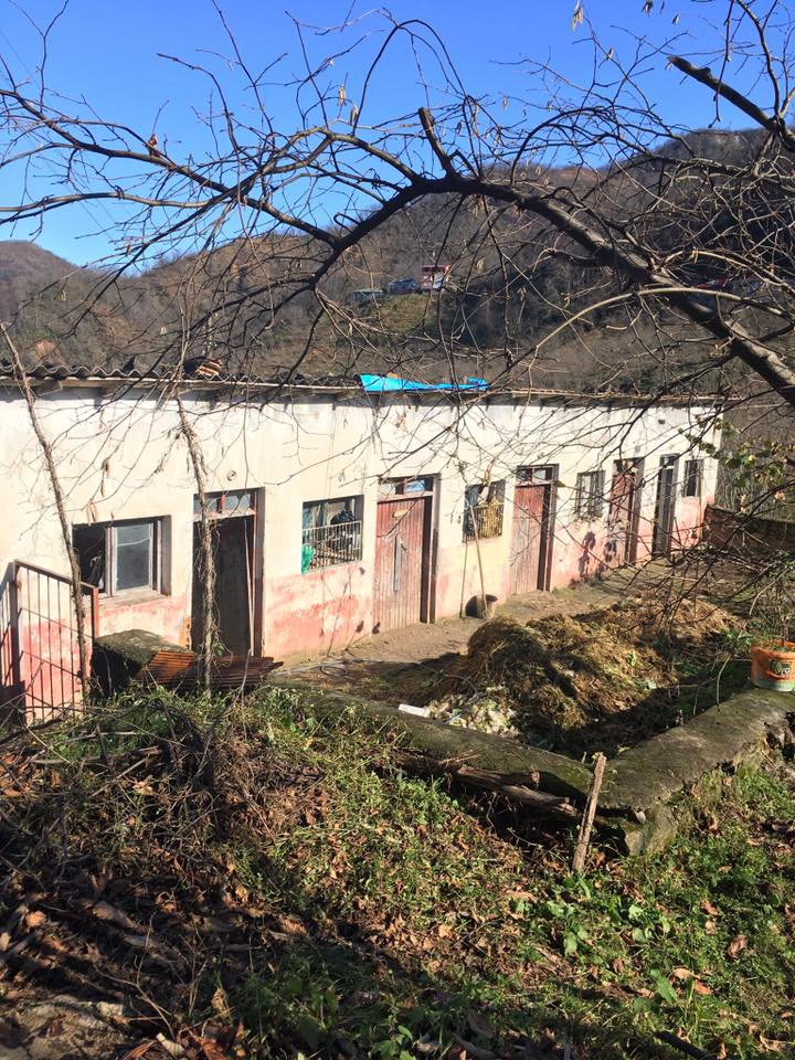 Sürmene Gültepe Köyü Resimleri 41