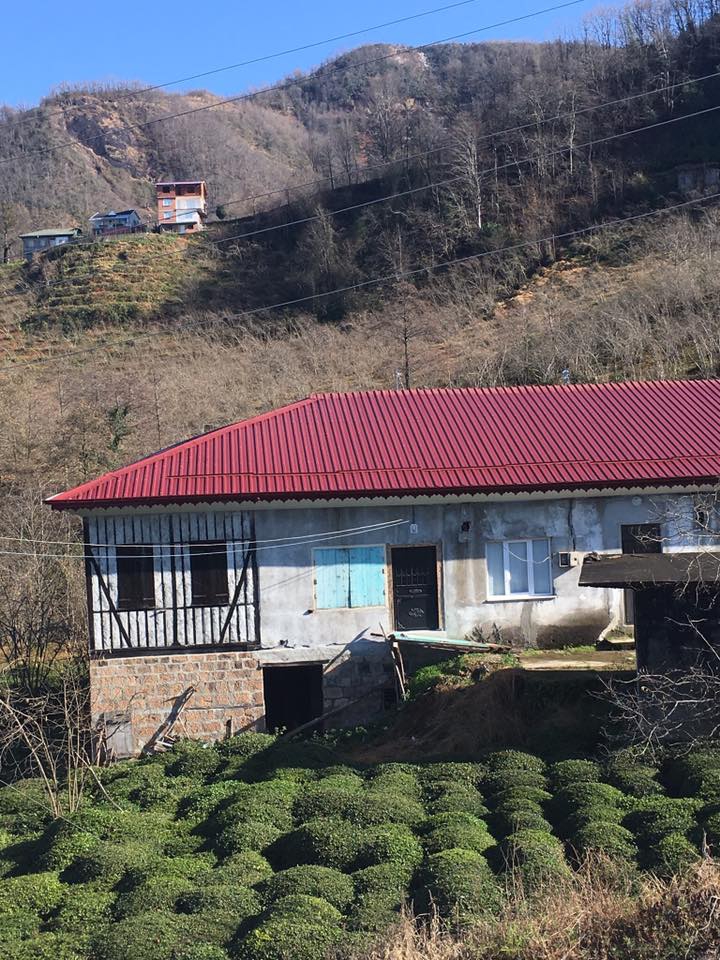 Sürmene Gültepe Köyü Resimleri 42