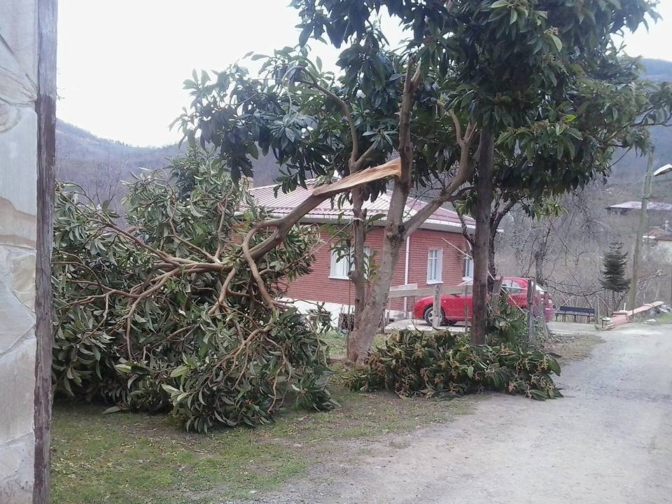 Sürmene Gültepe Köyü Resimleri 44