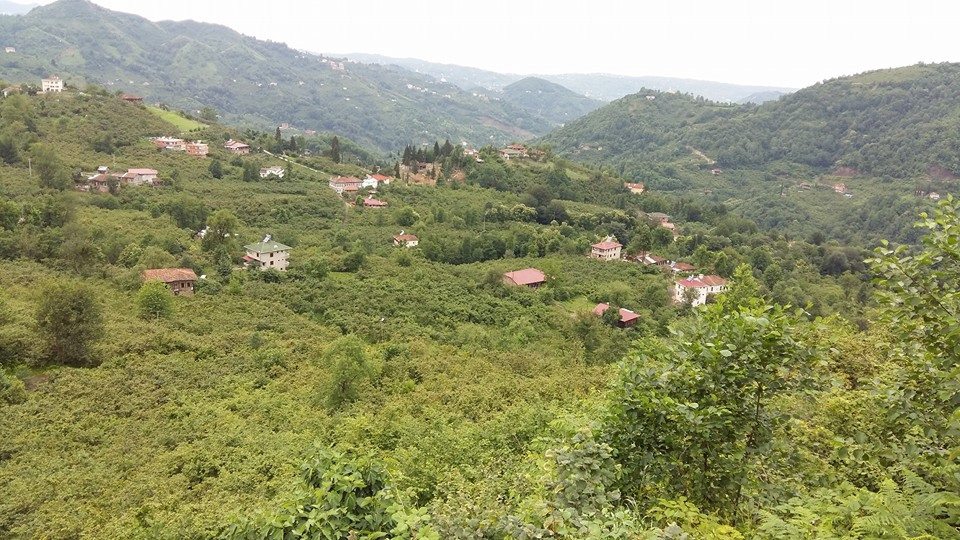 Sürmene Gültepe Köyü Resimleri 48