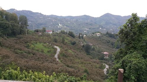 Sürmene Gültepe Köyü Resimleri 5