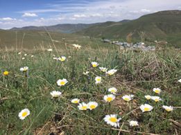 Demirözü Devetaşı Köyü Resimleri 6