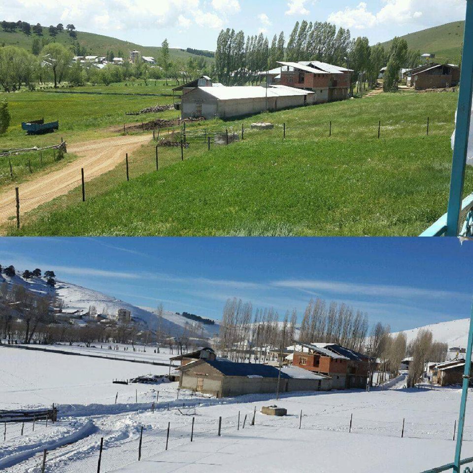 Demirözü Elmalı Köyü Resimleri 5