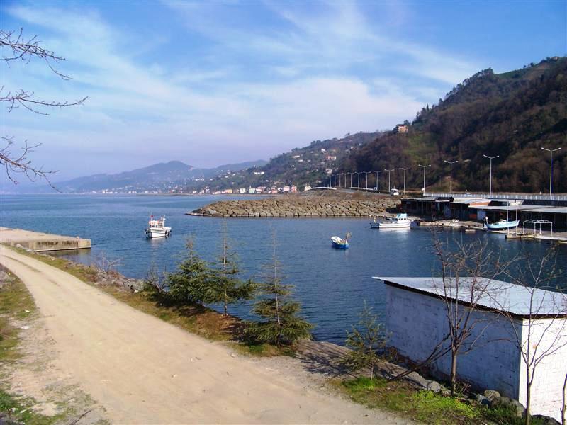 Sürmene Güneyköy Resimleri 1