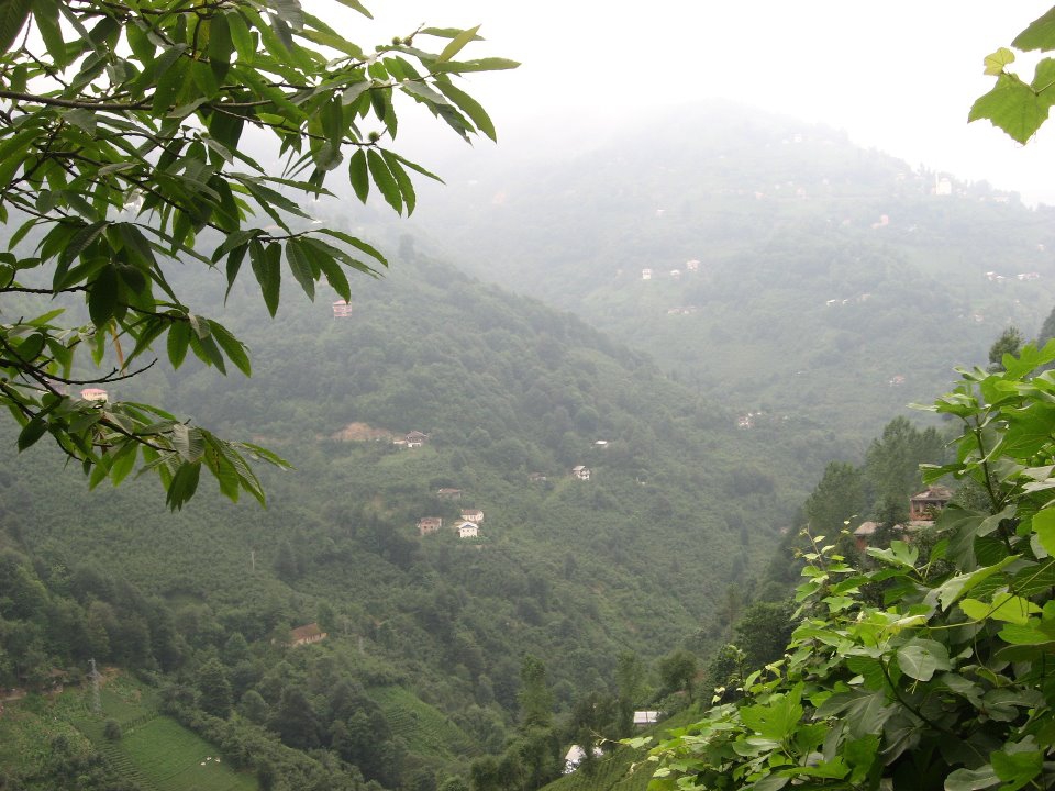 Sürmene Güneyköy Resimleri 11