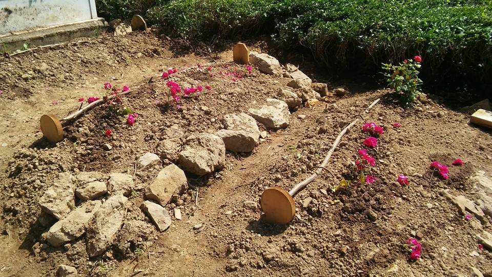 Sürmene Güneyköy Resimleri 19