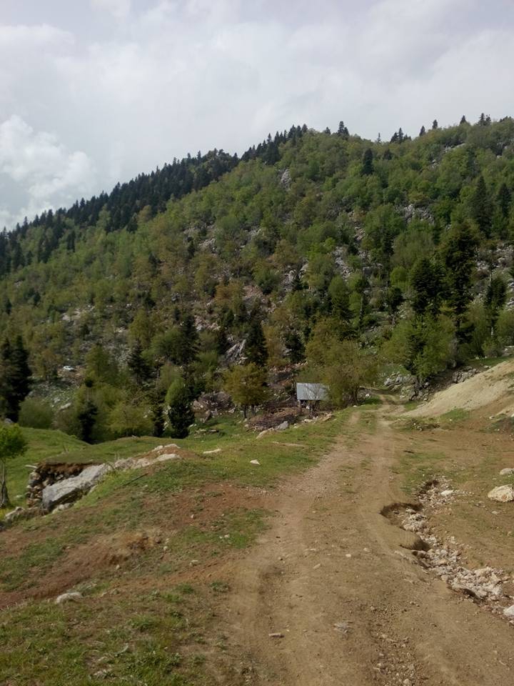 Andırın Arıklar Köyü Resimleri 6