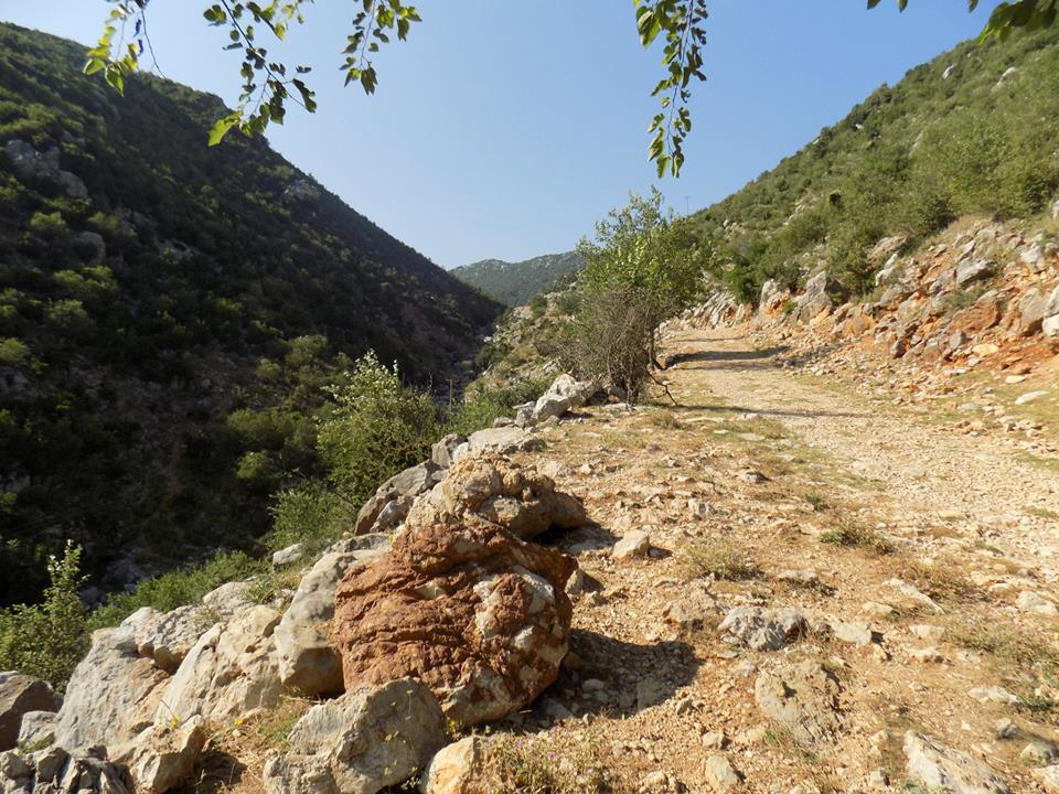 Andırın Arıklar Köyü Resimleri 7
