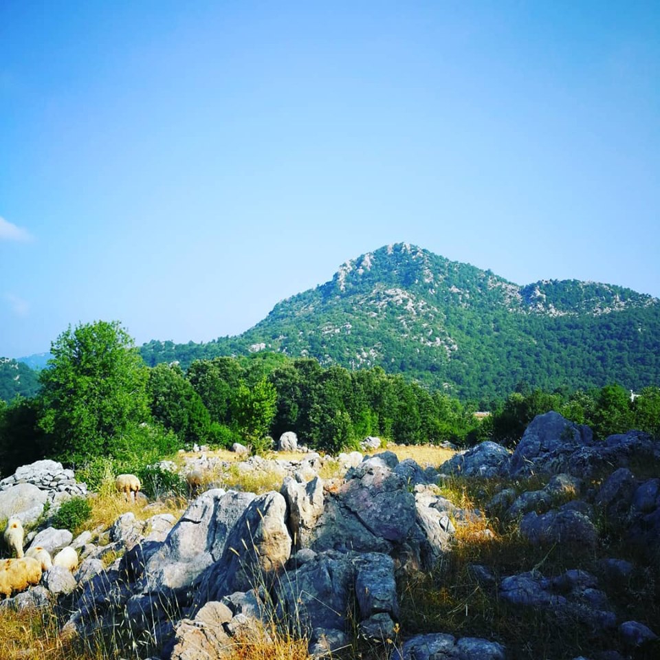 Andırın Başdoğan Köyü Resimleri 2