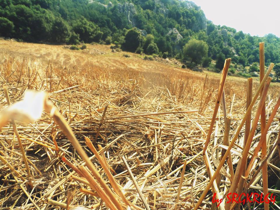 Andırın Başdoğan Köyü Resimleri 5