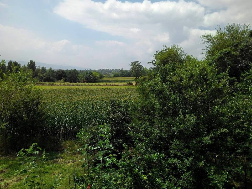 Andırın Bektaşlı Köyü Resimleri 7