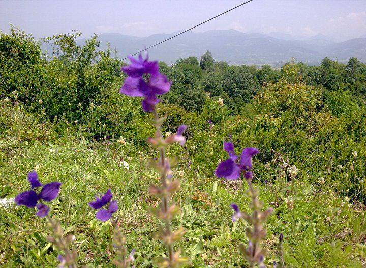 Andırın Bektaşlı Köyü Resimleri 9