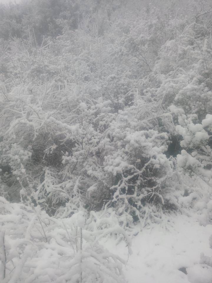 Andırın Boğazören  Köyü Resimleri 5