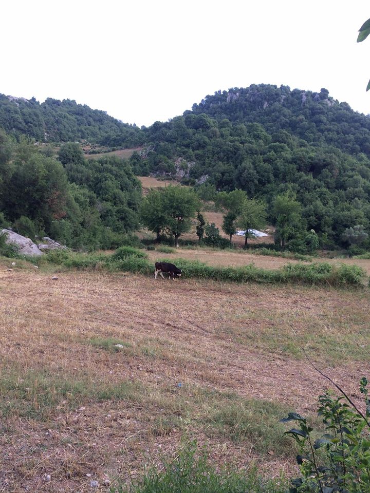 Andırın Bulgurkaya Köyü Resimleri 11