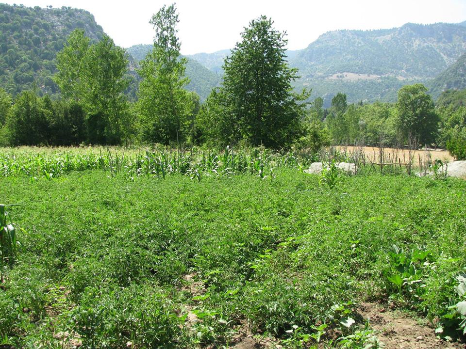 Andırın Cambaz Köyü Resimleri 11