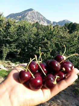 Andırın Çığşar Köyü Resimleri 10