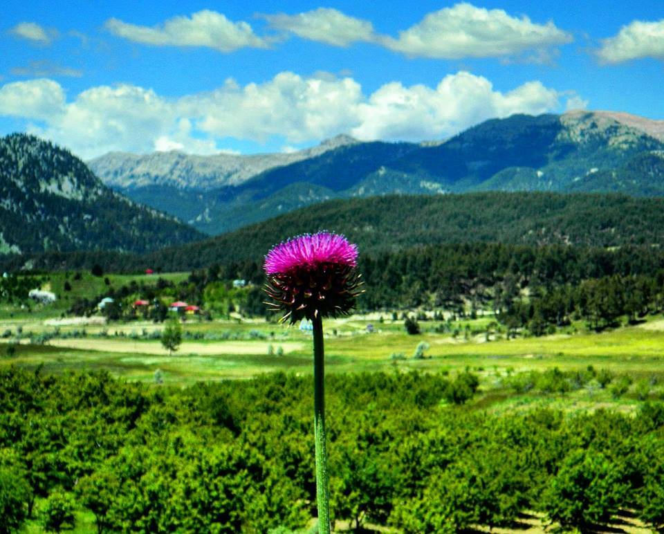 Andırın Çığşar Köyü Resimleri 4