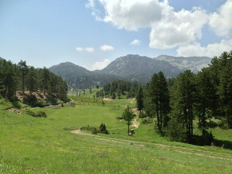 Andırın Çığşar Köyü Resimleri 6